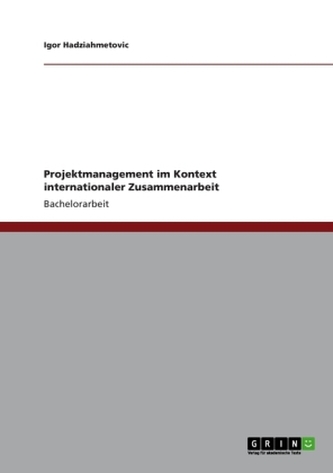 Projektmanagement im Kontext internationaler Zusammenarbeit