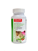 Vitaland - Hlíva echinacea rakytník 60 tablet