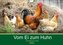 Vom Ei zum Huhn. Die Entwicklung von Küken (Wandkalender 2022 DIN A4 quer)