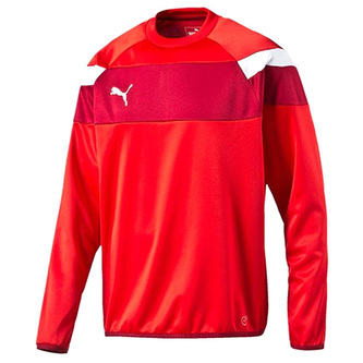 Mikina Puma spirit ii