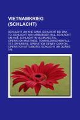 Vietnamkrieg (Schlacht)