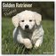 Golden Retriever Puppies - Golden Retriever-Welpen 2022 - 18-Monatskalender mit freier DogDays-App