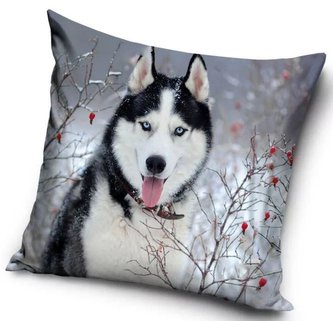 POVLAK NA POLŠTÁŘ HUSKY