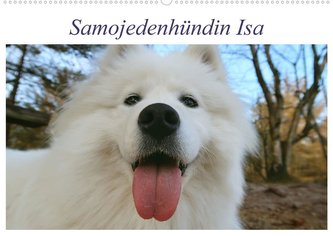 Samojedenhündin Isa (Wandkalender 2022 DIN A2 quer)