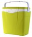 Box chladící 38,5x40x24 cm 25 l zelený PLANA