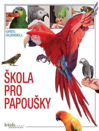 Škola pro papoušky
