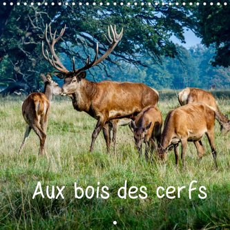 Aux bois des cerfs (Calendrier mural 2022 300 × 300 mm Square)