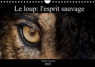 Le loup: l'esprit sauvage (Calendrier mural 2022 DIN A4 horizontal)
