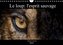 Le loup: l'esprit sauvage (Calendrier mural 2022 DIN A4 horizontal)