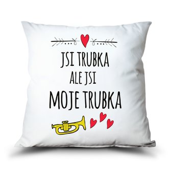 Ahome Polštář Jsi moje trubka