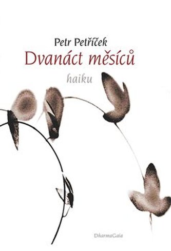 Dvanáct měsíců