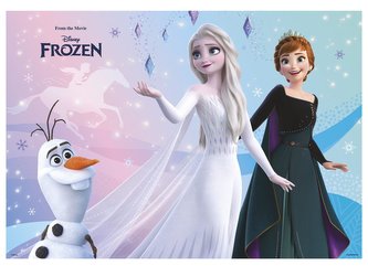 PODLOŽKA FROZEN