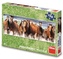 Puzzle 150 Kone vo vode panoramic