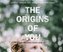The Origins of You: How Childhood Shapes Later Life