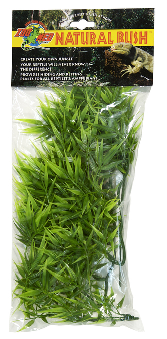 Rost.ter.ZMD Madagascar Bamboo M