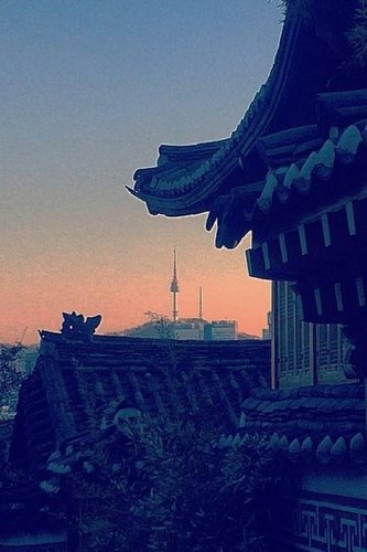 Hangul Practice Notebook: Korean Language Workbook for Alphabet and Writing Exercises