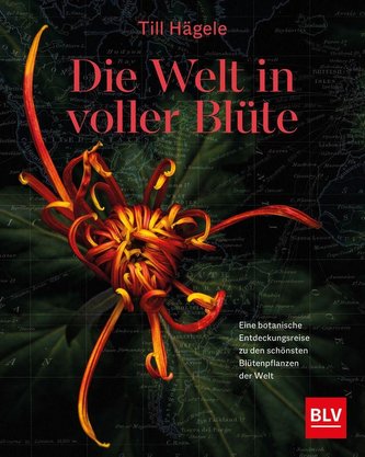 Die Welt in voller Blüte