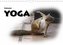 Tierisches Yoga (Wandkalender 2022 DIN A4 quer)