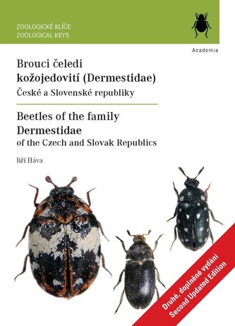 Brouci čeledi kožojedovití Brouci čeledi kožojedovití