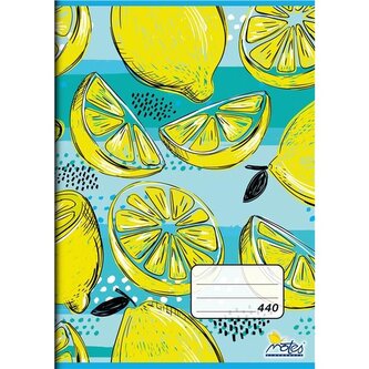 Sešit 440/A4 40 listů, čistý, bezdřevý