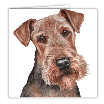 WaggyDogz Přání AC-205 Waggy Dogz