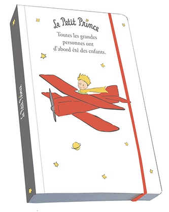 MALÝ PRINC SEŠIT LMFNB101 A6 LE. PRINCE KIUB