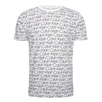 Pánské triko Calvin Klein S/S Crew Neck Velikost: L