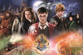 Tajomný Harry Potter 300 dielikov