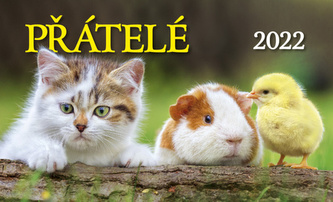Kalendář 2022 - Přátelé, stolní