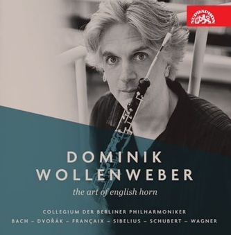 DOMINIK WOLLENWEBER