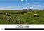 Nordseeinsel Pellworm 2022 (Wandkalender 2022 DIN A3 quer)
