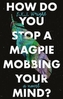 How Do you Stop a Magpie Mobbing Your Mind?