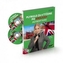 Plynulo za 4 týždne po anglicky - Jazykový kurz + 2 CD