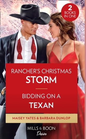 Rancher's Christmas Storm / Bidding On A Texan