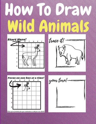 How To Draw Wild Animals
