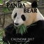 PANDA BEAR CALENDAR 2017