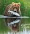 Wildlife Photographer of the Year: Highlights Volume 6, Volume 6