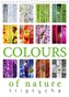 Colours of Nature - Triptycha (Wall Calendar 2022 DIN A4 Portrait)