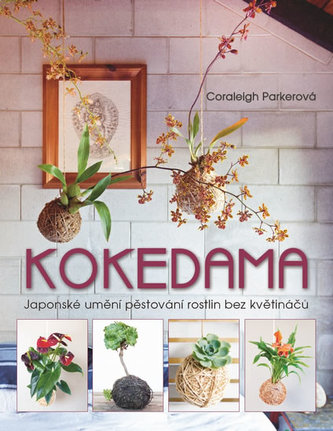 Kokedama Kokedama