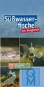 Süßwasserfische im Vergleich