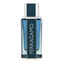 Salvatore Ferragamo Ferragamo Intense Leather EDP 100 ml M