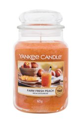 YANKEE CANDLE Farm Fresh Peach sviečka 623g