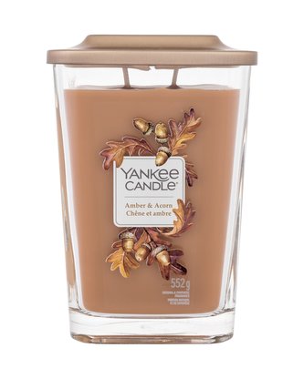 YANKEE CANDLE Amber & Acorn svíčka 553g / 2knoty YANKEE CANDLE Amber & Acorn svíčka 553g / 2knoty