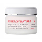 ANNEMARIE BORLIND Regenerační noční krém ENERGYNATURE System Pre-Aging (Regenerative Night Cream) 50 ml woman