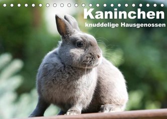 Kaninchen - knuddelige Hausgenossen (Tischkalender 2022 DIN A5 quer)