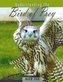 Understanding the Bird of Prey