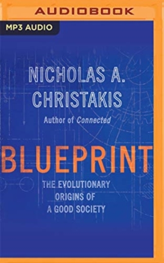 BLUEPRINT