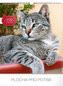 Kalendář nástěnný 2018 - Kočky - rodloužená verze