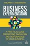 Business Experimentation