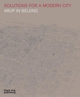 Solutions for a Modern City